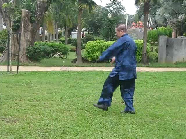 Shaolin 36 Leg Techniques